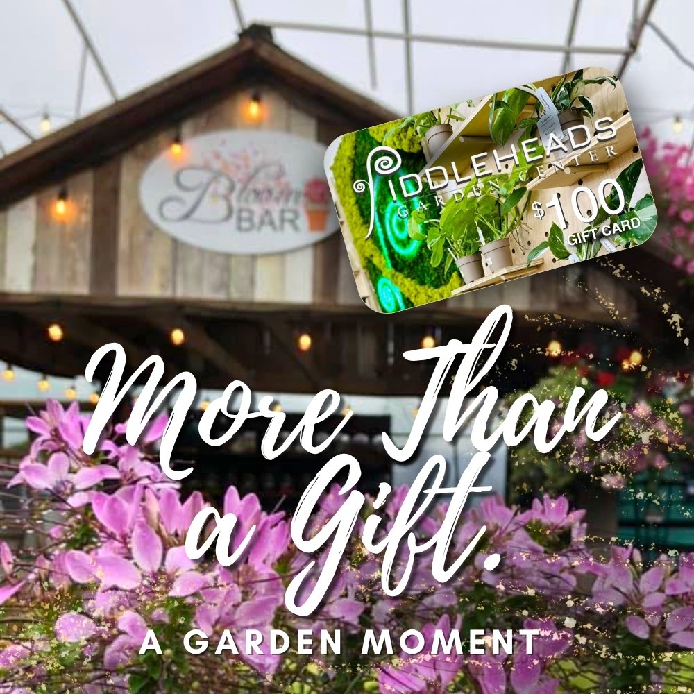 Fiddleheads Garden Center Gift Cards