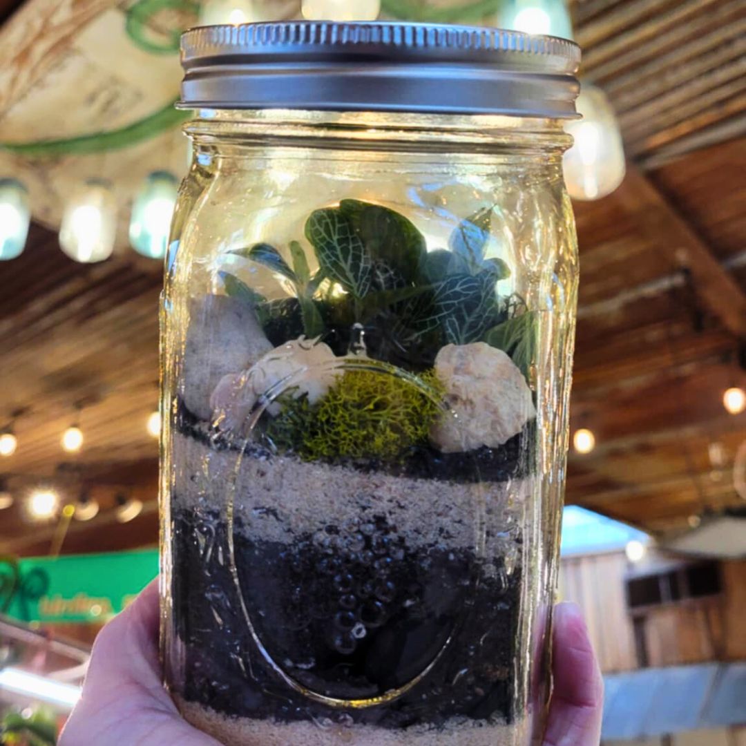 Terrarium Workshop 🪴