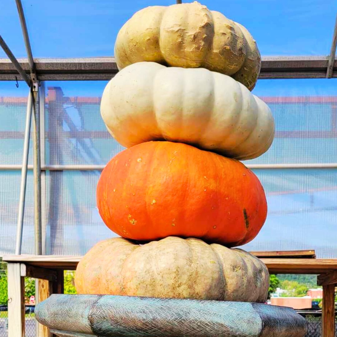 Autumn Porch Kits