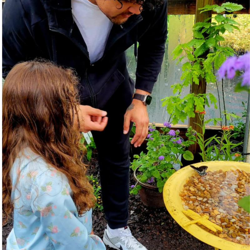 Pollinator Pavilion Butterfly Release Experience