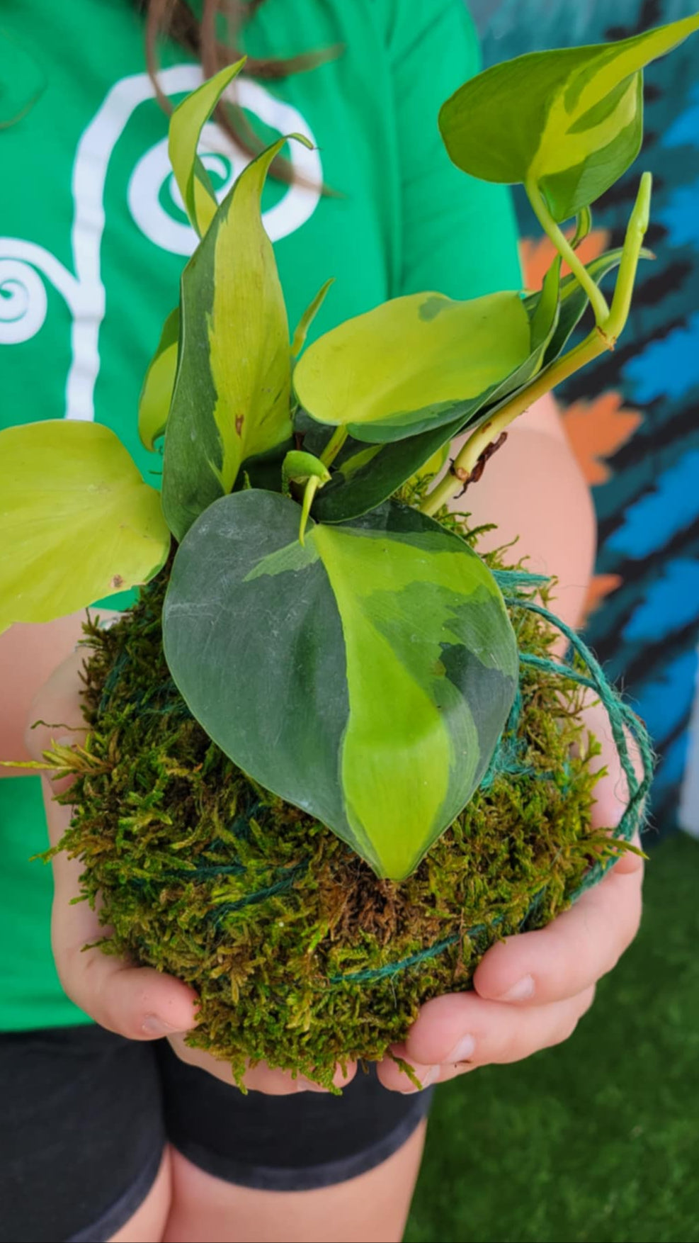 Kokedama Workshop – Friday, July 25 at 1:00 PM