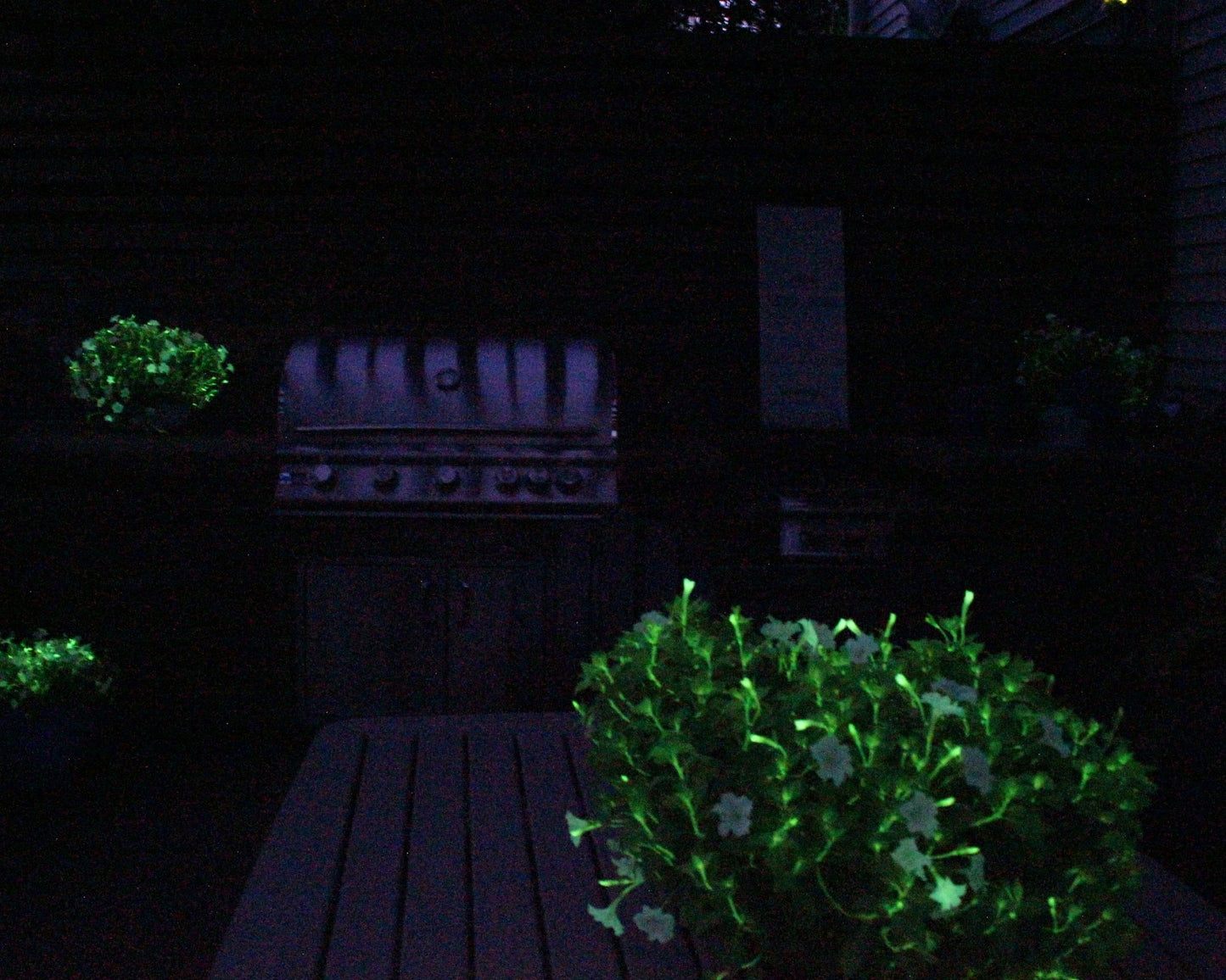 Firefly Petunia - Glow in the Dark | Preorder