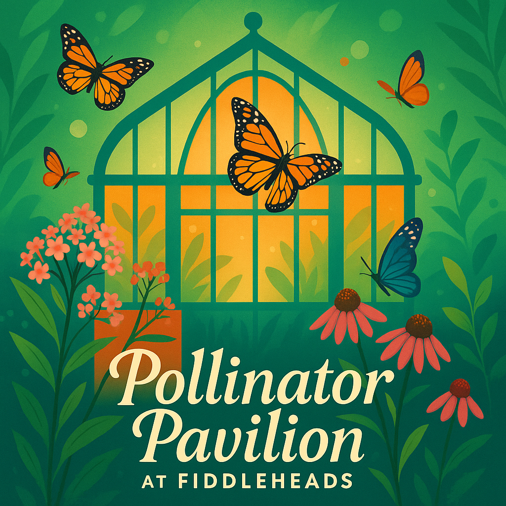 Pollinator Pavilion Butterfly Release Experience