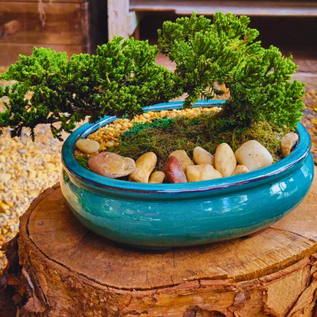 BONSAI出品 Gardening_Bonsai_15121.jpg?w= ジャケット・アウター
