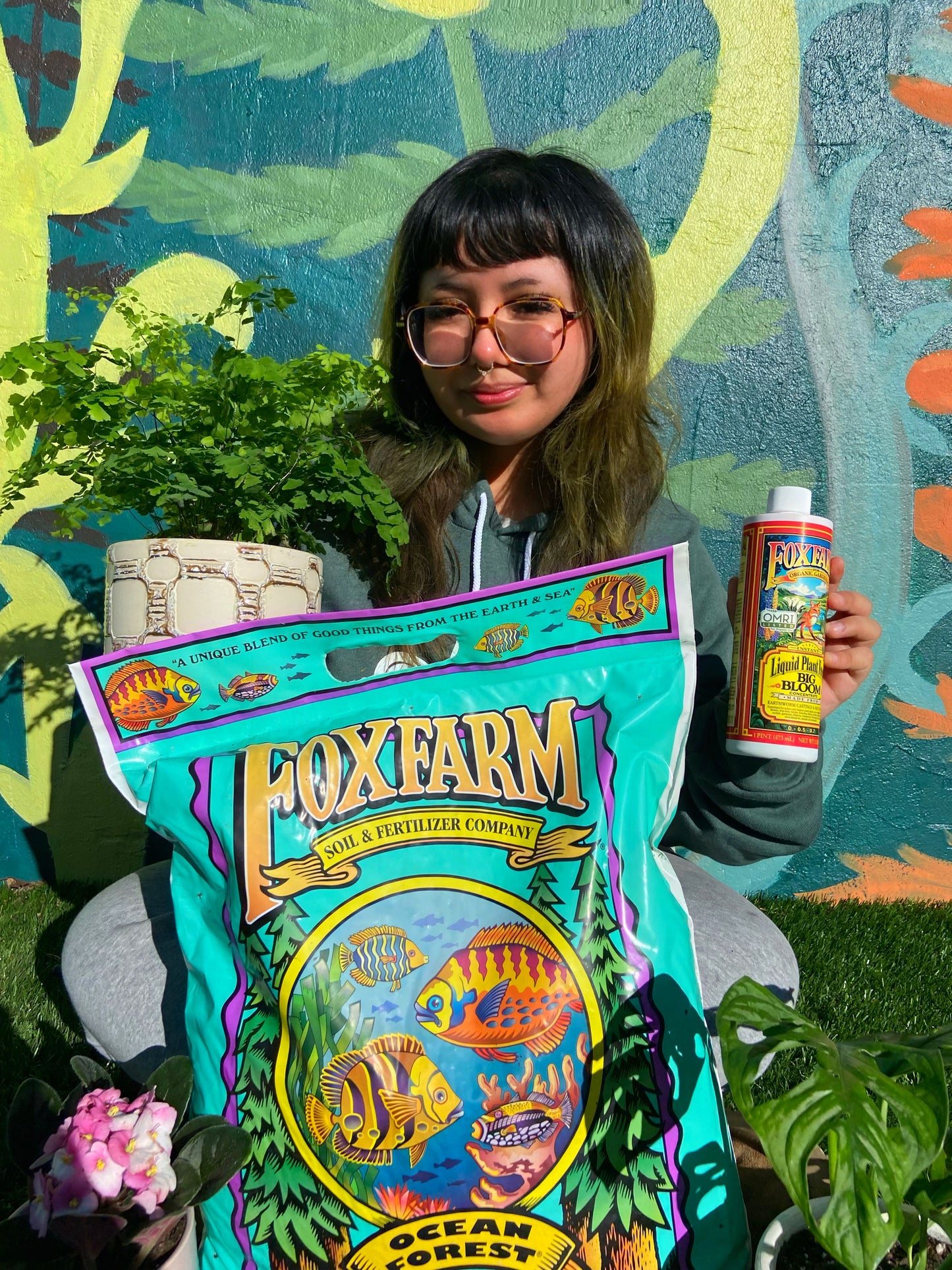 🌿 Houseplant Success Kit