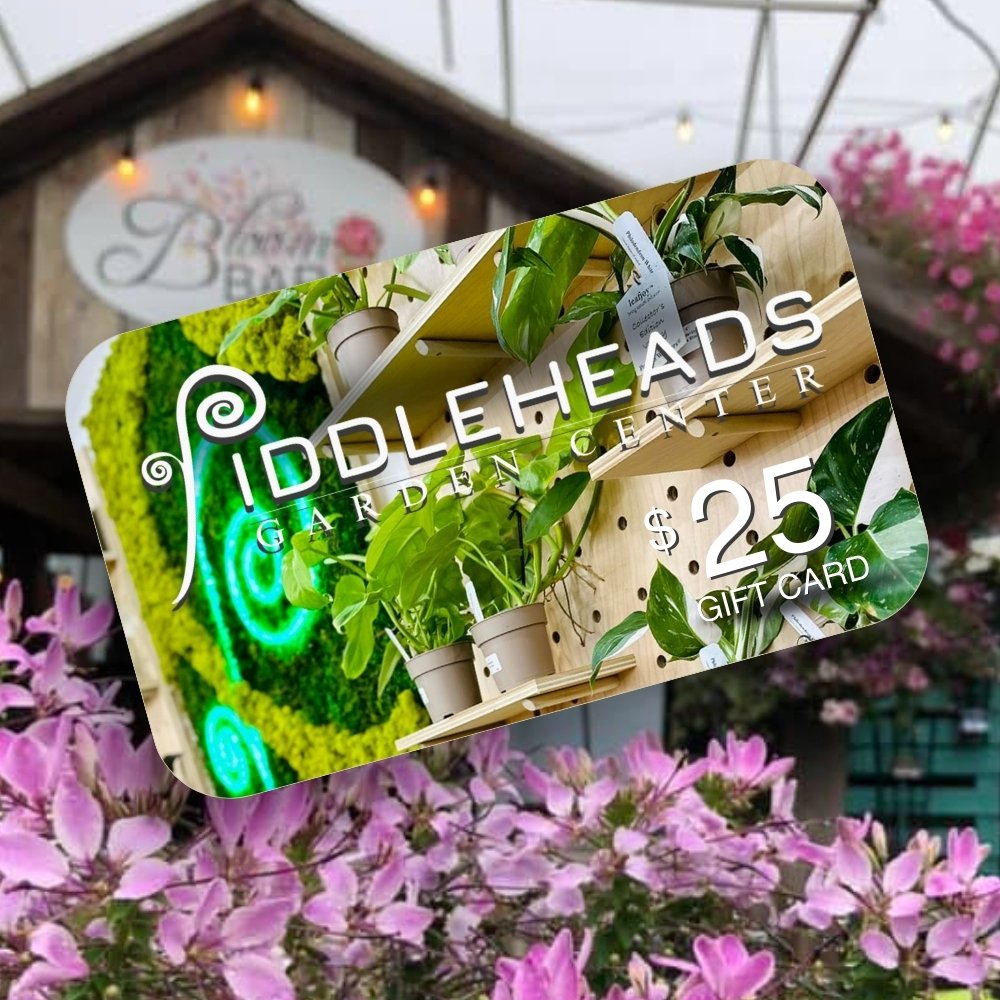 Fiddleheads Garden Center Gift Cards