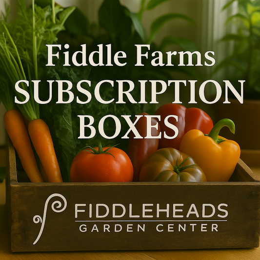 Winter Market Produce Subscription Box (Biweekly)