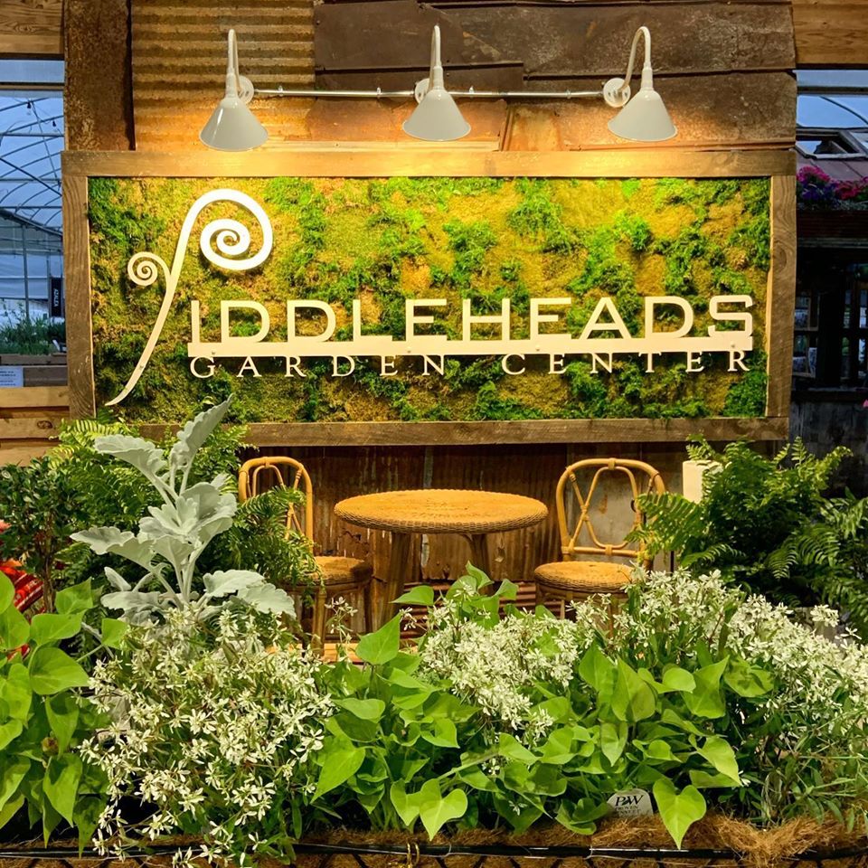 Fiddlehead Led Sign landscaping-design-dbvjj90v – Fiddleheads Garden Center