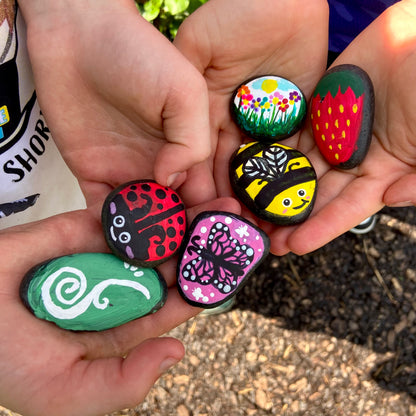 Pollinator Rock Painting Workshop