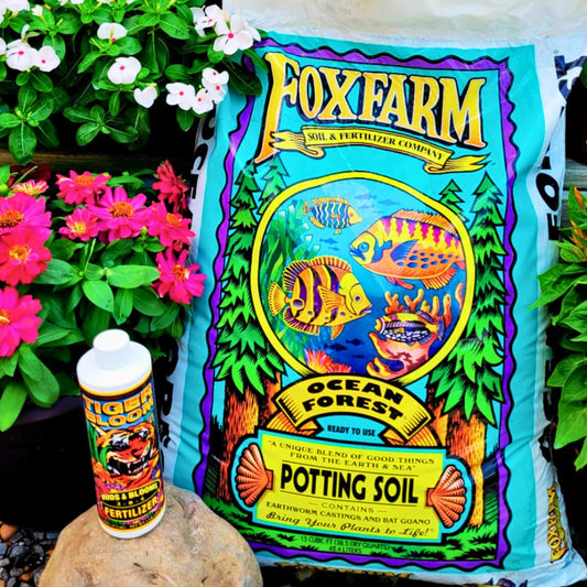 🌸 Flowering Plant Success Kit