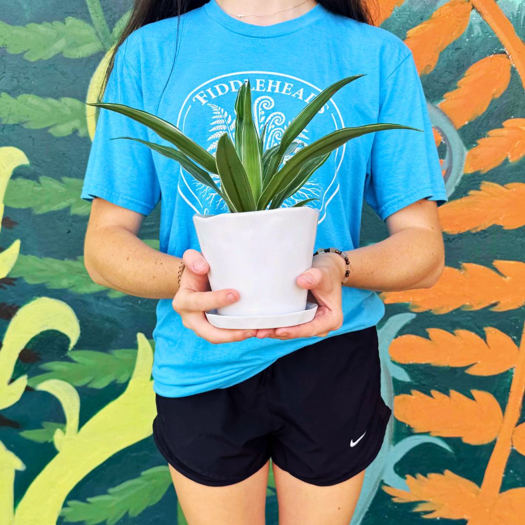 Houseplant 101 Workshop