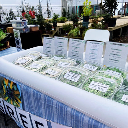 Winter Market Vendor Registration
