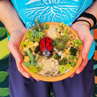 Pet Rock Garden Workshop