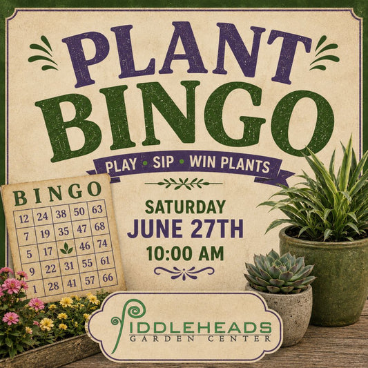 Plant BINGO