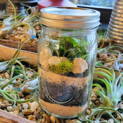 Terrarium Workshop 🪴