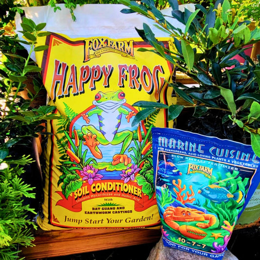 🌳 Tree, Shrub, & Bulb Success Kit