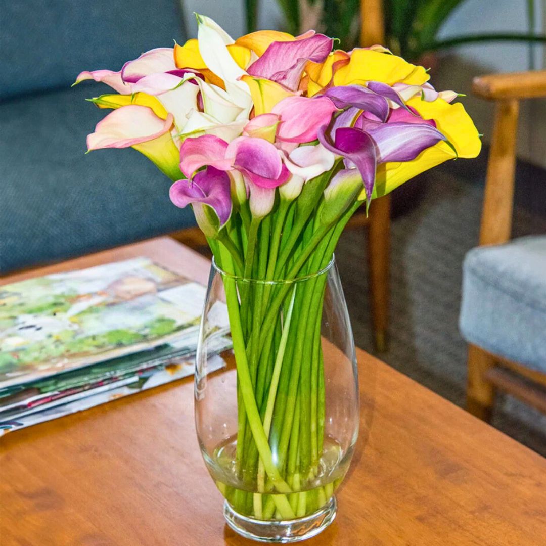 Calla Lily Mix — Spring Bulb 🌱
