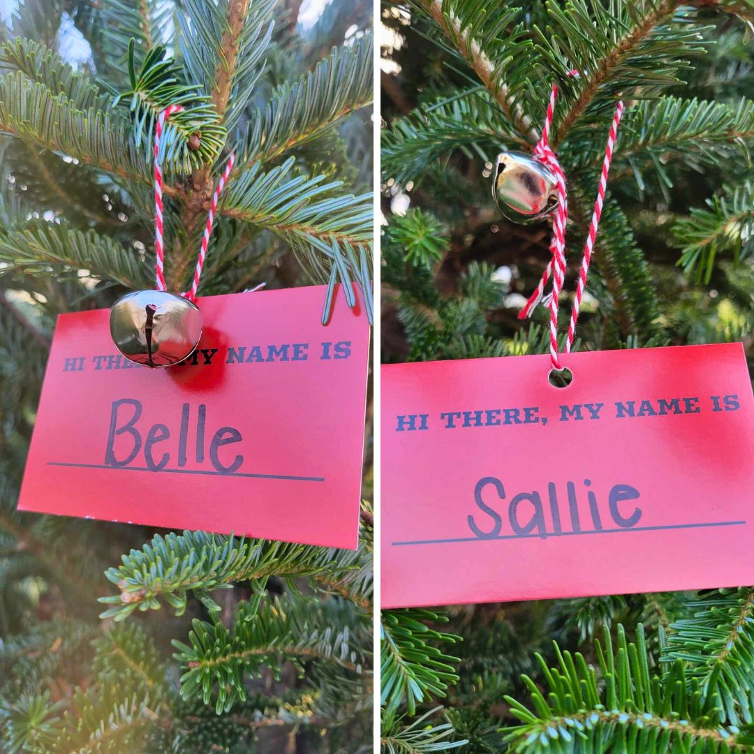 Oh, Christmas Tree Experience