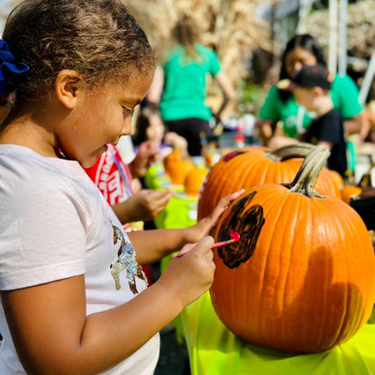 Pumpkin Painting Workshop