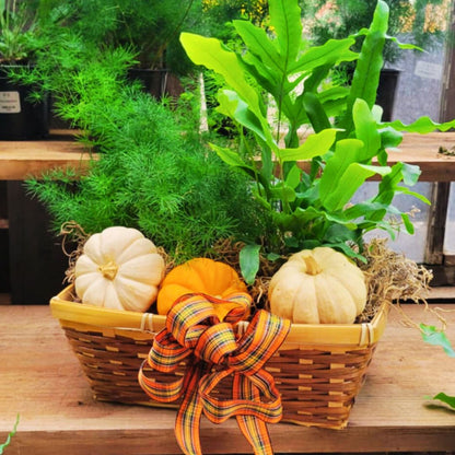Fiddle Fronds & Fest Basket