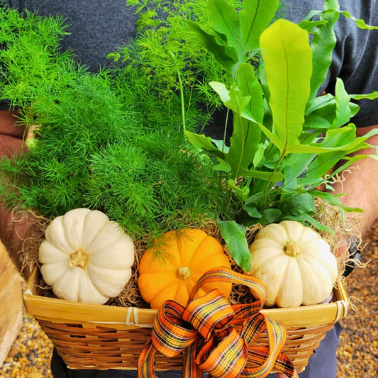 Fiddle Fronds & Fest Basket