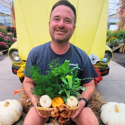 Fiddle Fronds & Fest Basket
