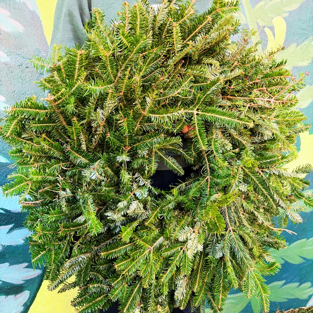 'Frond' Door Showstopper Wreath