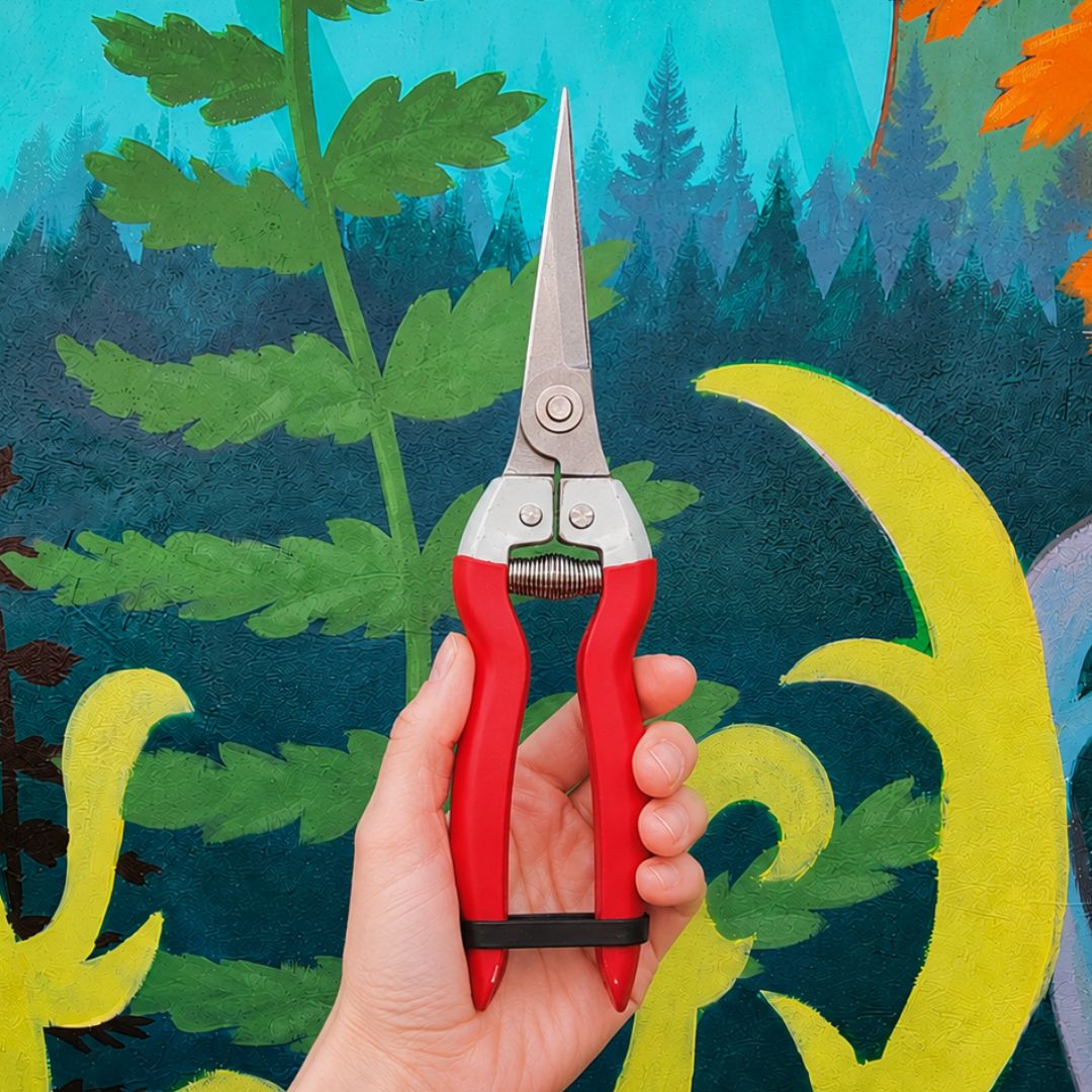 The 'Miyagi' Bonsai