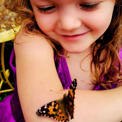 Pollinator Pavilion Butterfly Release Experience