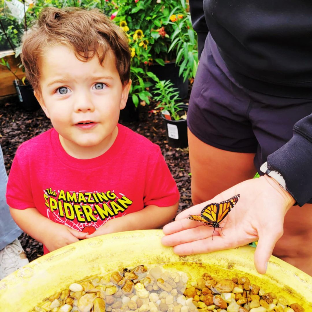 Pollinator Pavilion Butterfly Release Experience