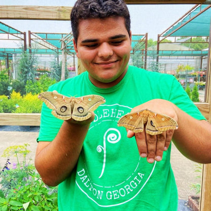 Pollinator Pavilion Butterfly Release Experience