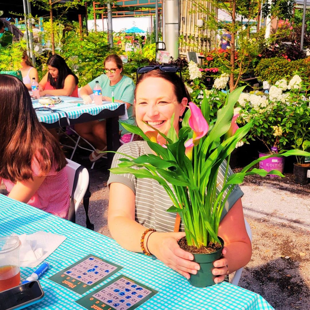 Plant BINGO
