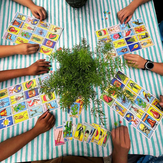 Plant Lotería: A Twist on Plant BINGO