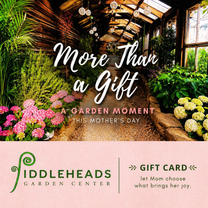 Fiddleheads Garden Center Gift Cards