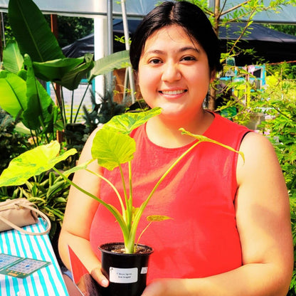 Plant Lotería: A Twist on Plant BINGO