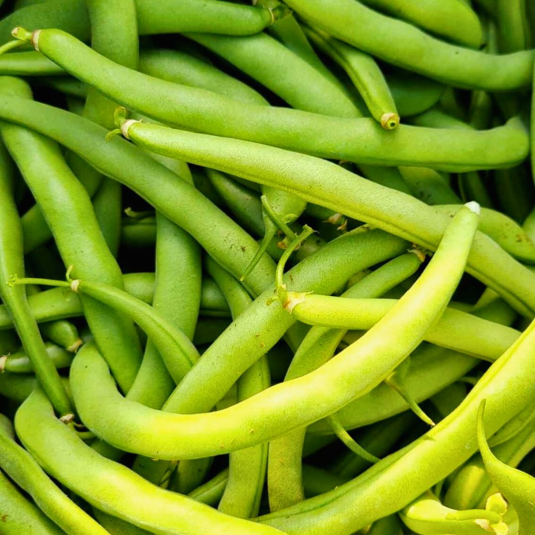Winter Market Produce Subscription Box (Biweekly)