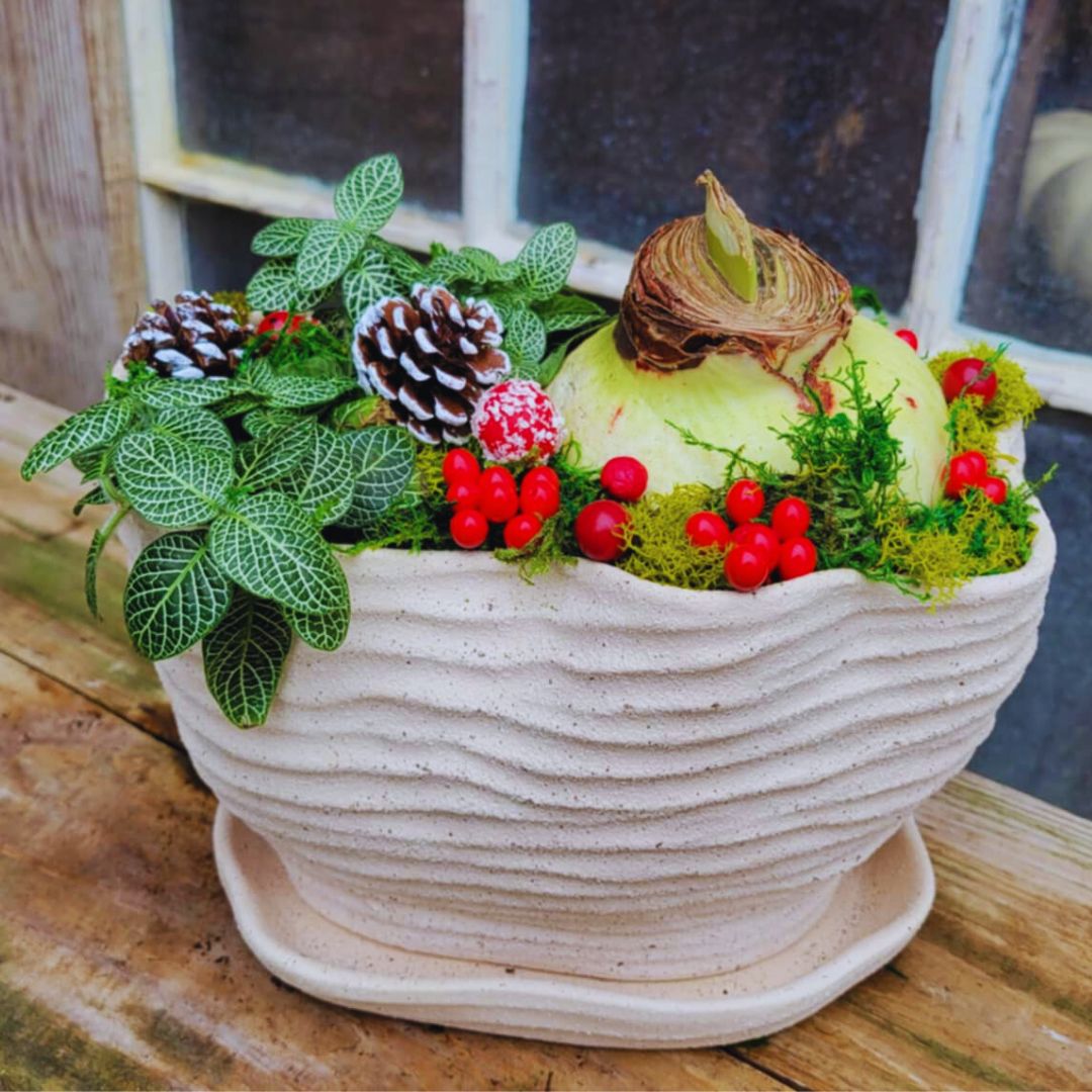 Deck The Fronds - Amaryllis