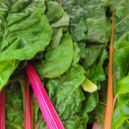 Winter Market Produce Subscription Box (Biweekly)