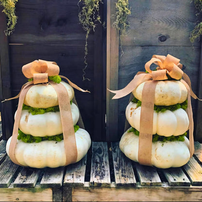 Harvest Pumpkin Stacks