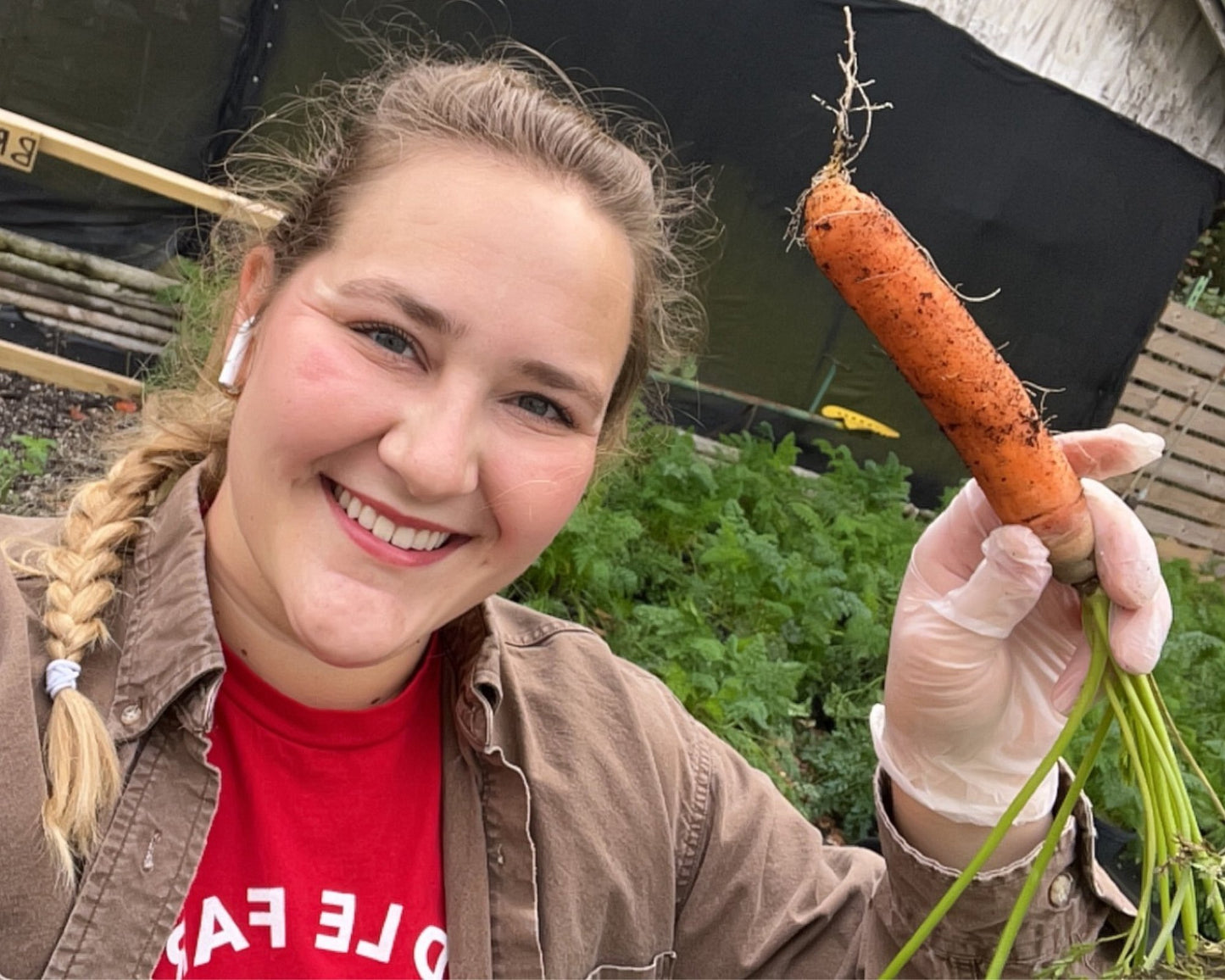 Fiddle Farms Crunchy Carrots - (1 LB)